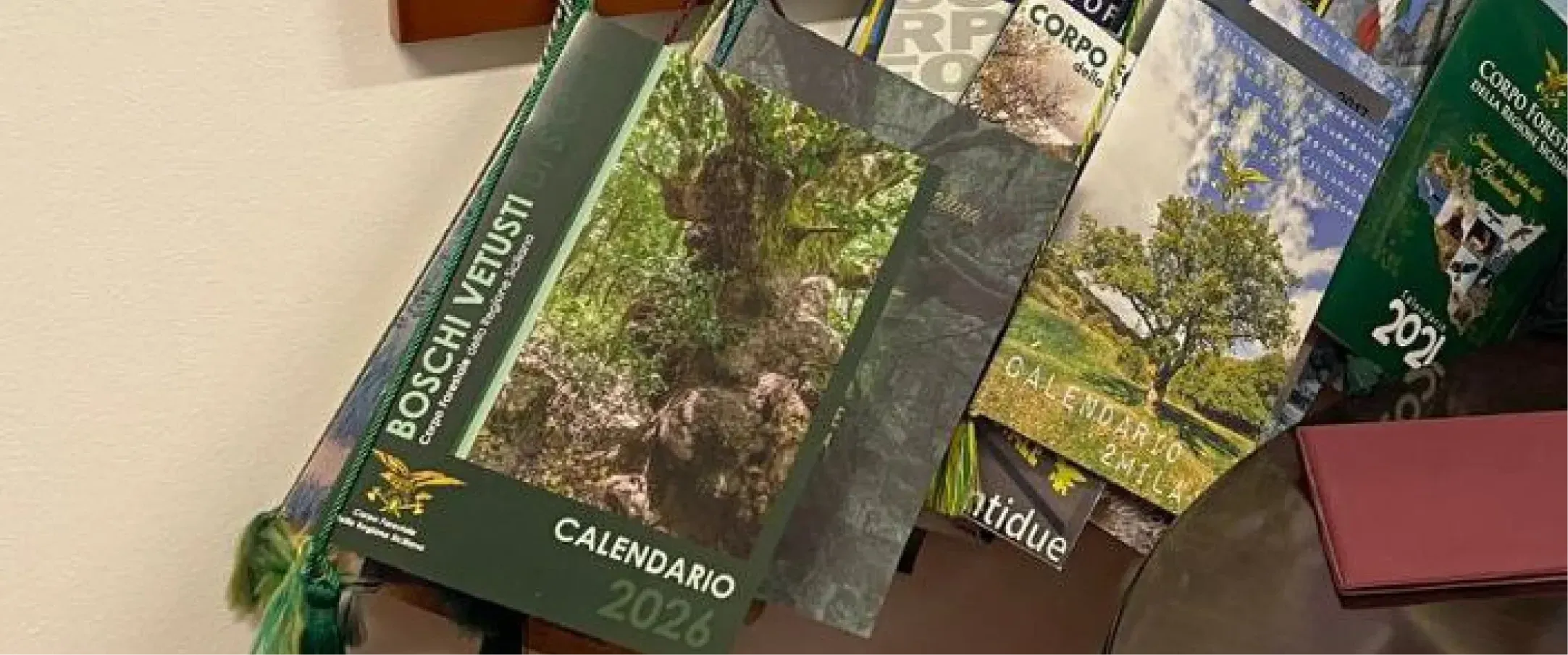 التقويم الرسمي 2026 - Corpo Forestale della Regione Siciliana — صورة 2 من 11