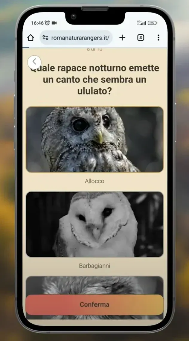 Rangers of Rome’s Parks - Gamification Project — image 8 of 12
