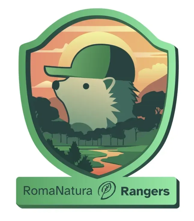 Rangers of Rome’s Parks - Gamification Project — image 11 of 12