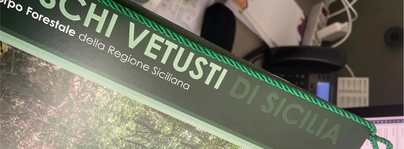 التقويم الرسمي 2026 - Corpo Forestale della Regione Siciliana — صورة 11 من 11